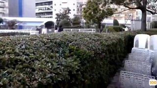 上海极品气质女神【何麦伢】与男友啪啪不雅视频被流出